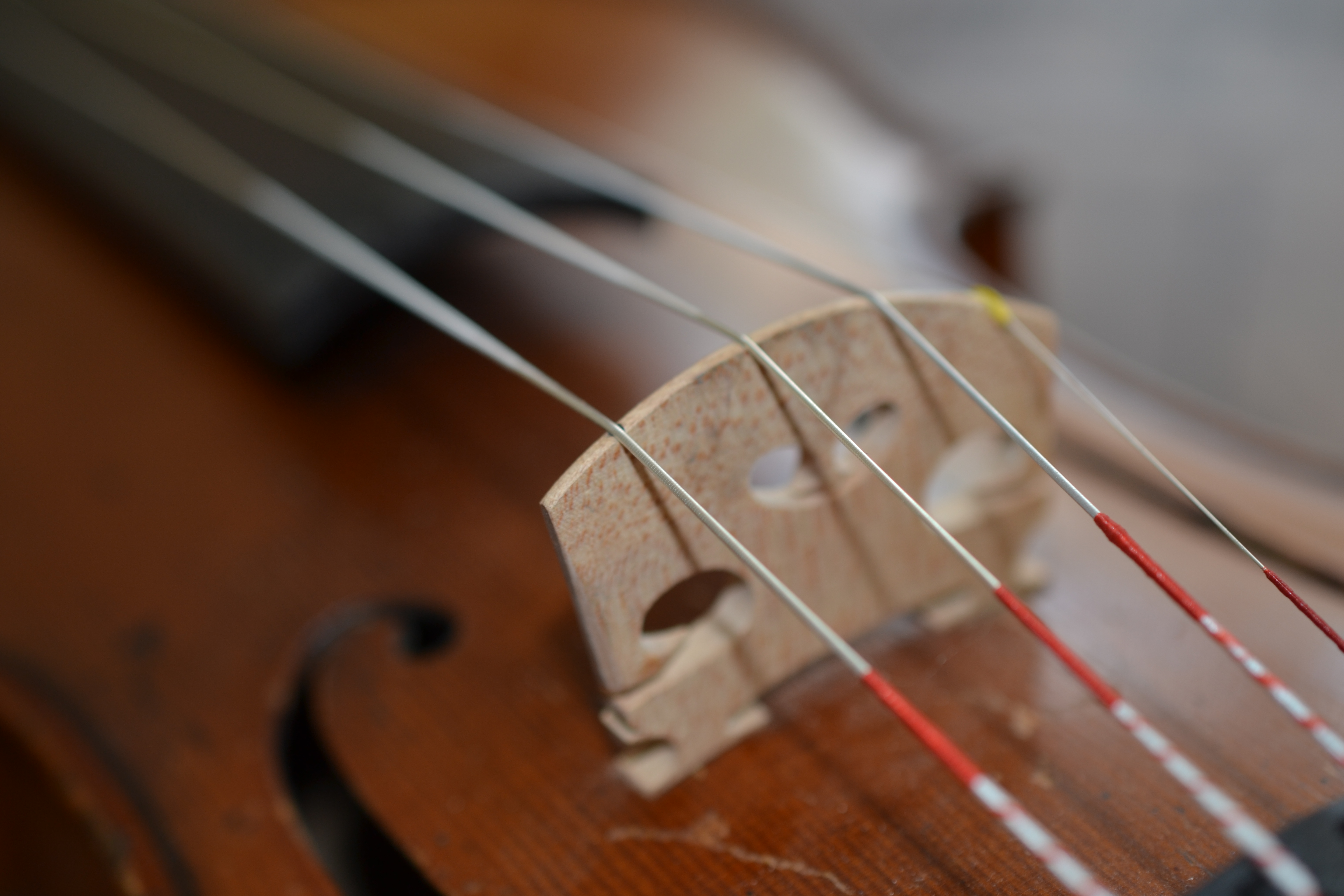 Das Bild zeigt die Violine des Studienleiters, Daniel Bellinger, der selbst Hobbymusiker ist. 