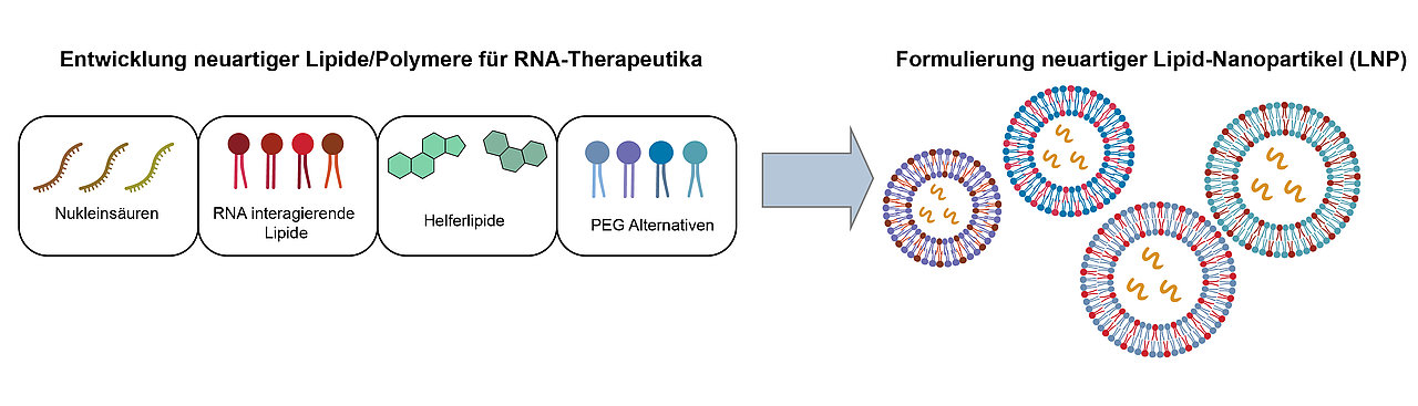Die RNA-Medizin voranbringen: Das möchte ein neuer Forschungsverbund erreichen, an dem die JMU beteiligt ist.