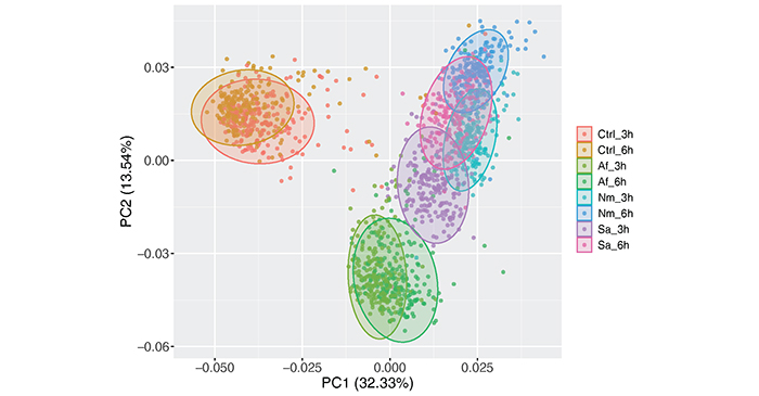 Analyse von RNA-Sequenzierungsdaten von Immunzellen (Monozyten) von 215 gesunden Testpersonen.
