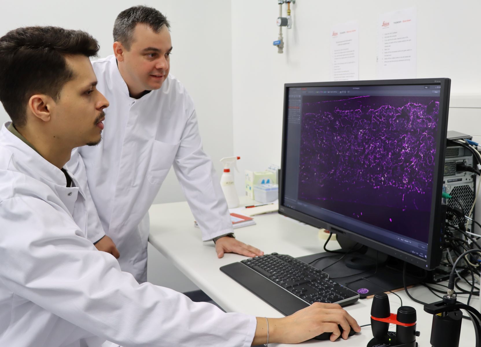 Gabriel Araujo und Zoltan Nagy im Labor am Mikroskop und Monitor 