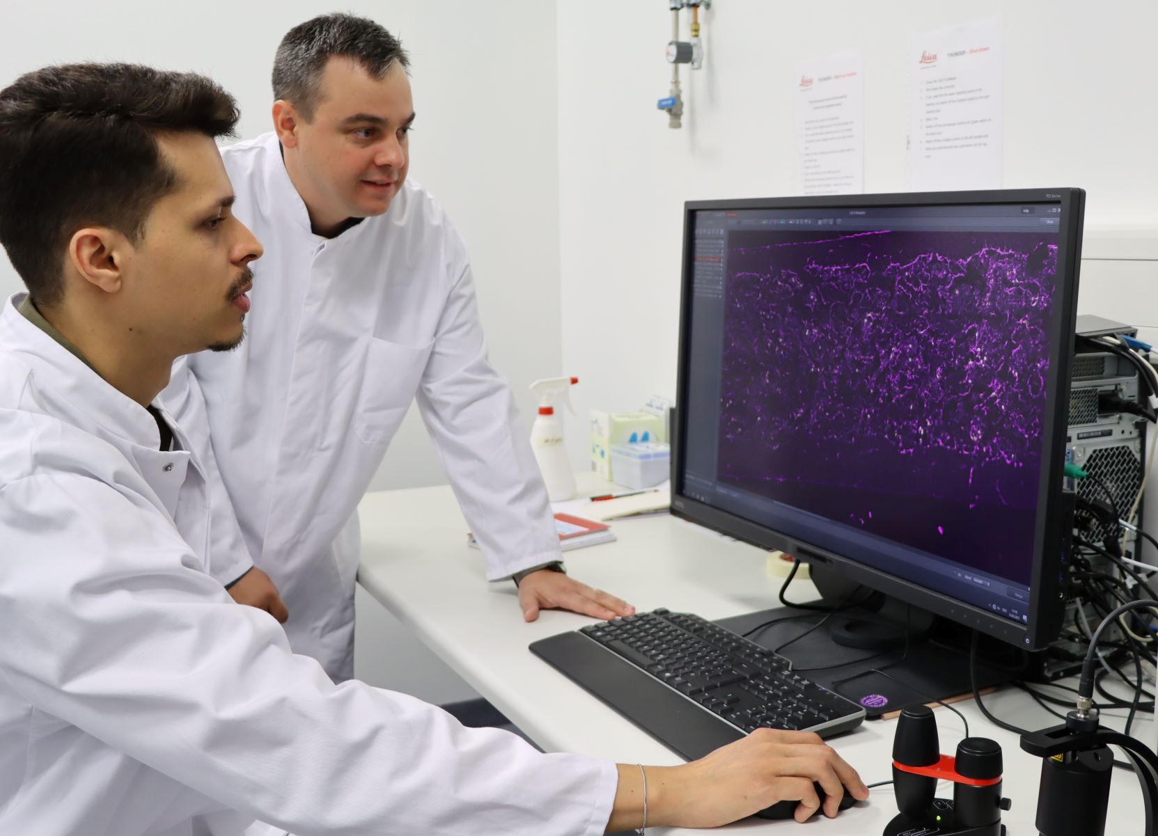 Gabriel Araujo und Zoltan Nagy im Labor am Mikroskop und Monitor 