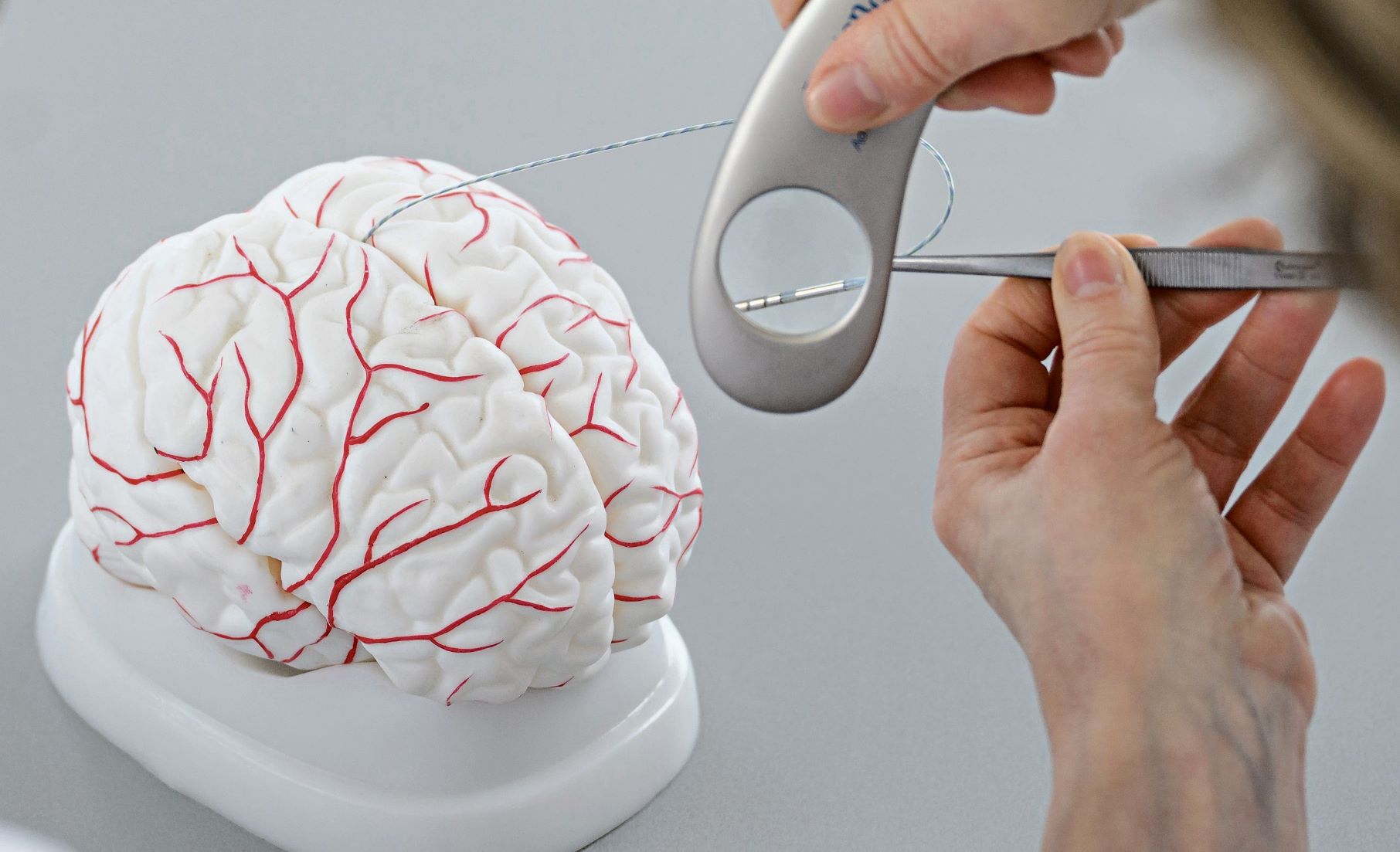 Elektrode unter einer Lupe, im Hintergrund ein Gehirn-Modell 