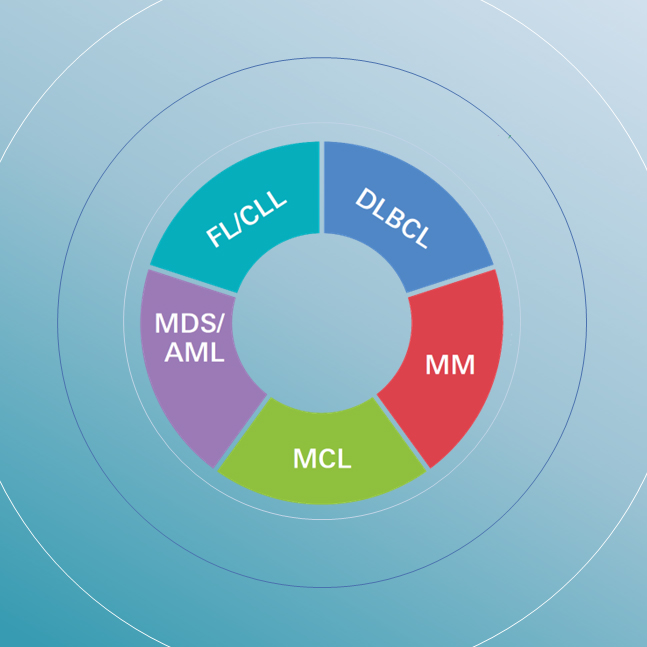 Grafik fünf bedeutende hämato-onkologische Erkrankungen