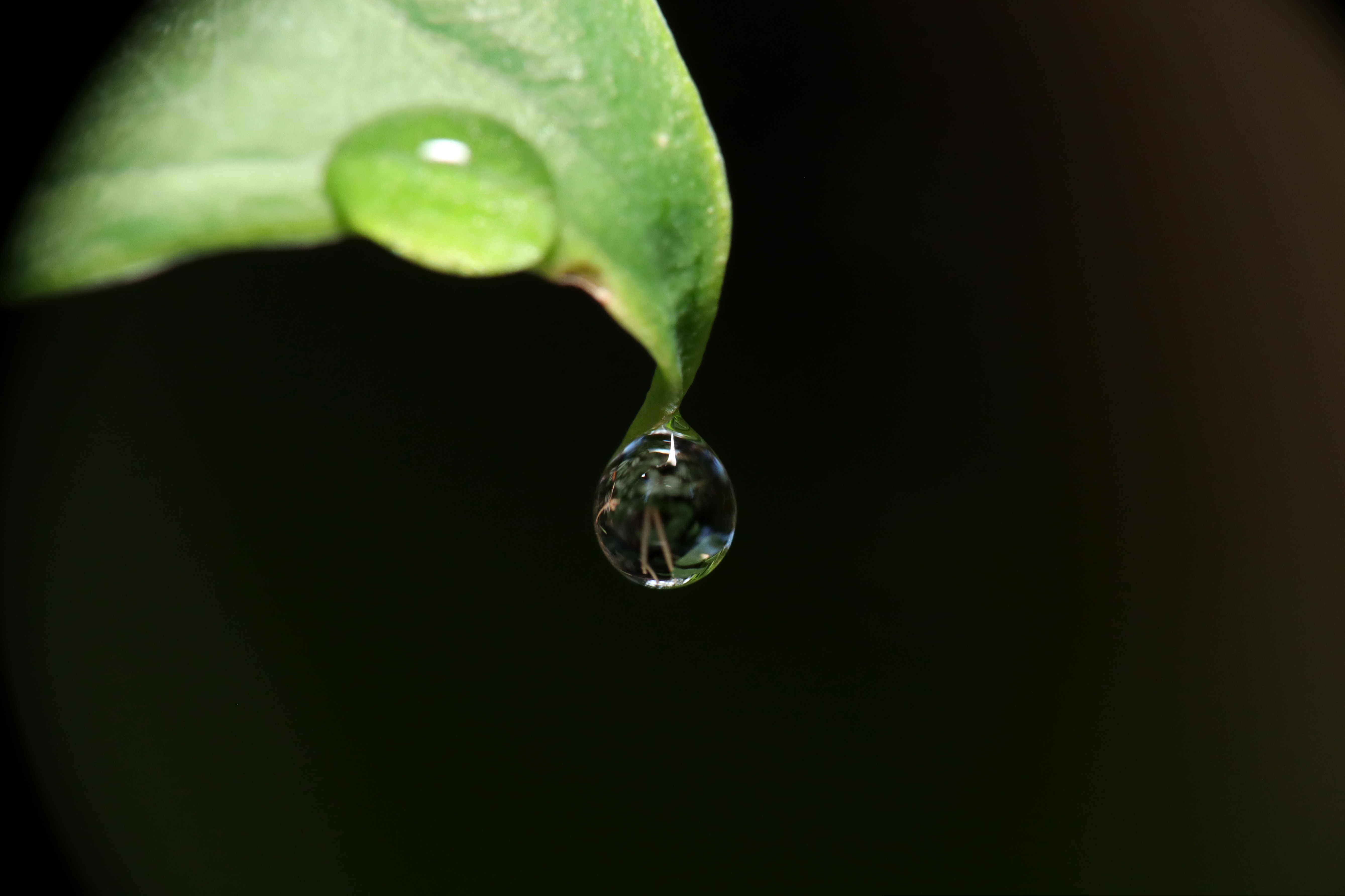 Wassertropfen