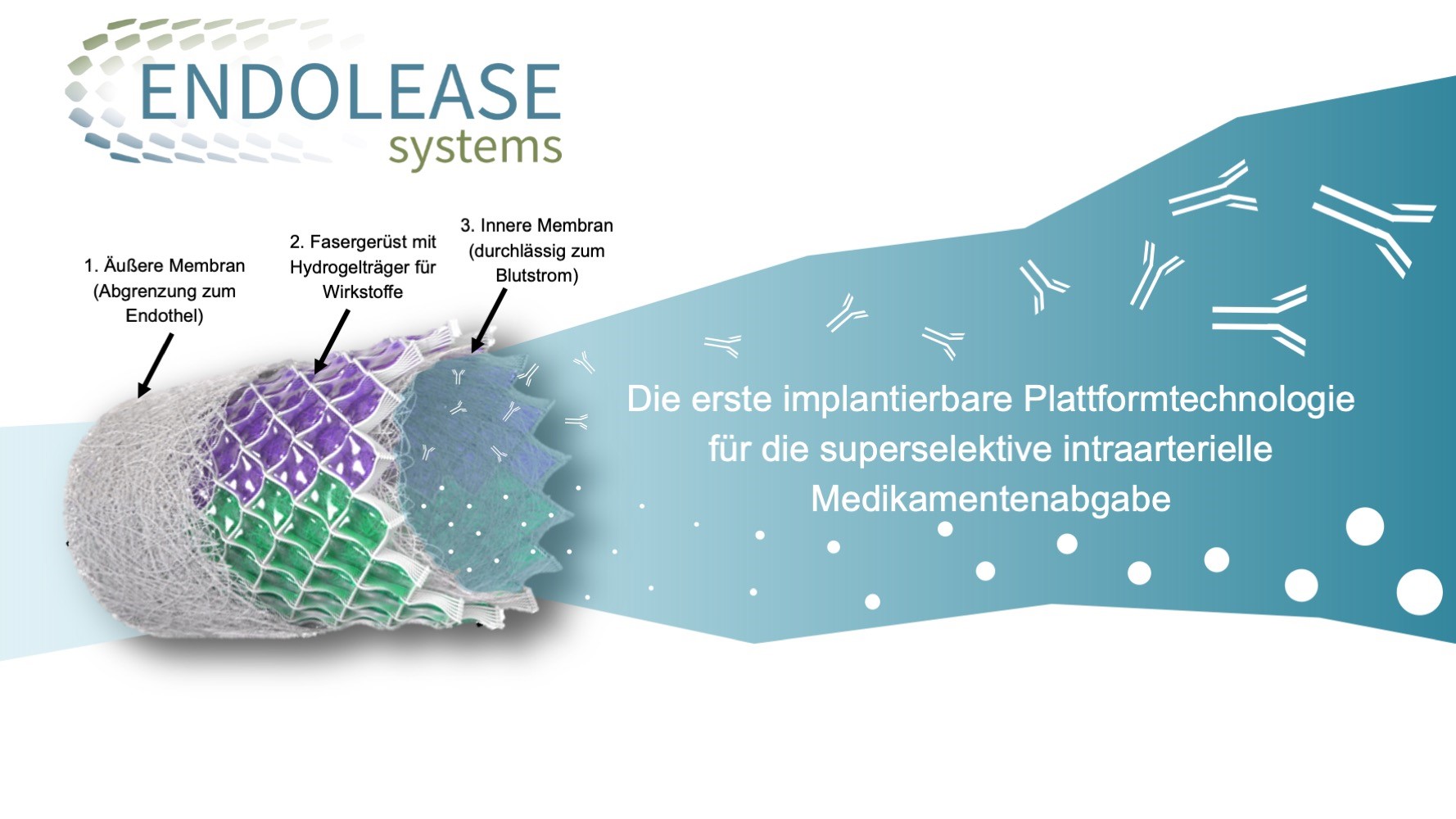 Die Folie zeigt, wie das System aufgebaut ist. Äußere Membran, Fasergerüst mit Hydrogelträger, Innere Membran. 