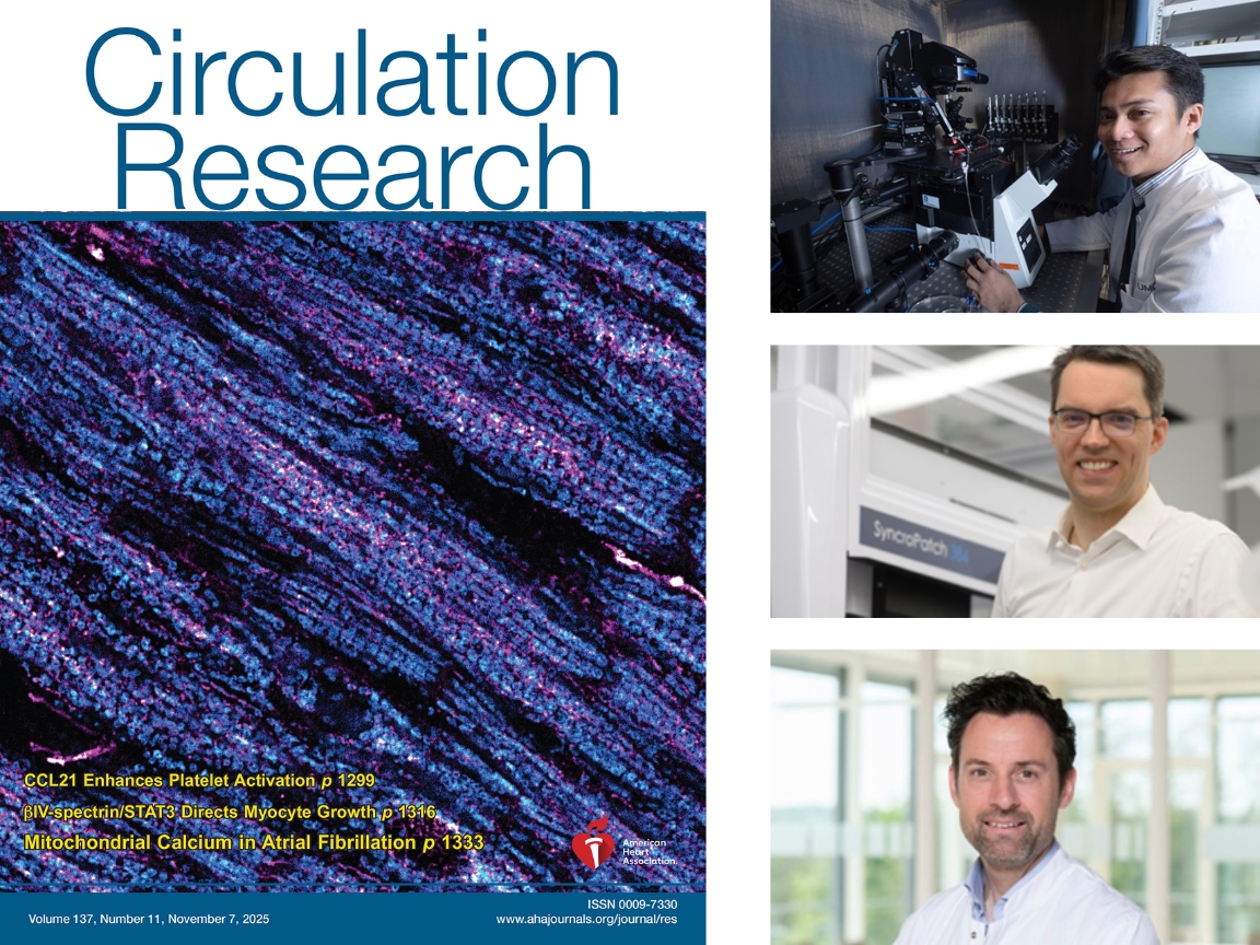 Collage mit Porträts der Forscher rechts und links dem Titelbild der November-Ausgabe von Circulation Research. 