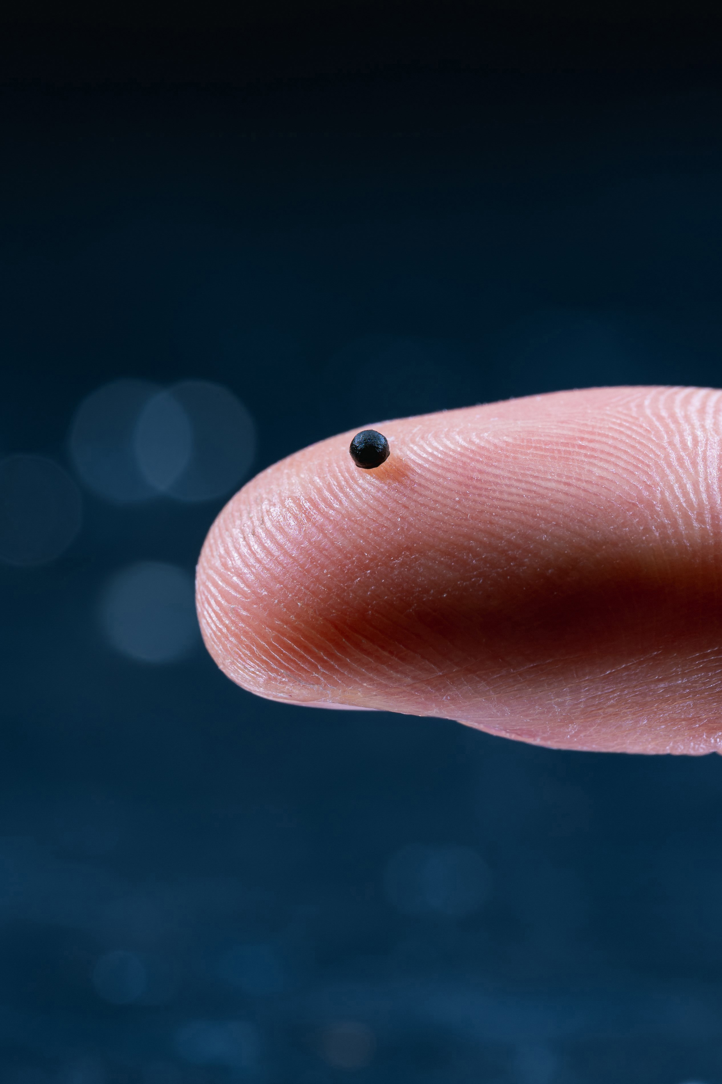 Auf dem Bild sieht man auf einem blauen Hintergrund eine vergrößerte Fingerkuppe auf der eine winzig kleine schwarze Kugel zu sehen ist.