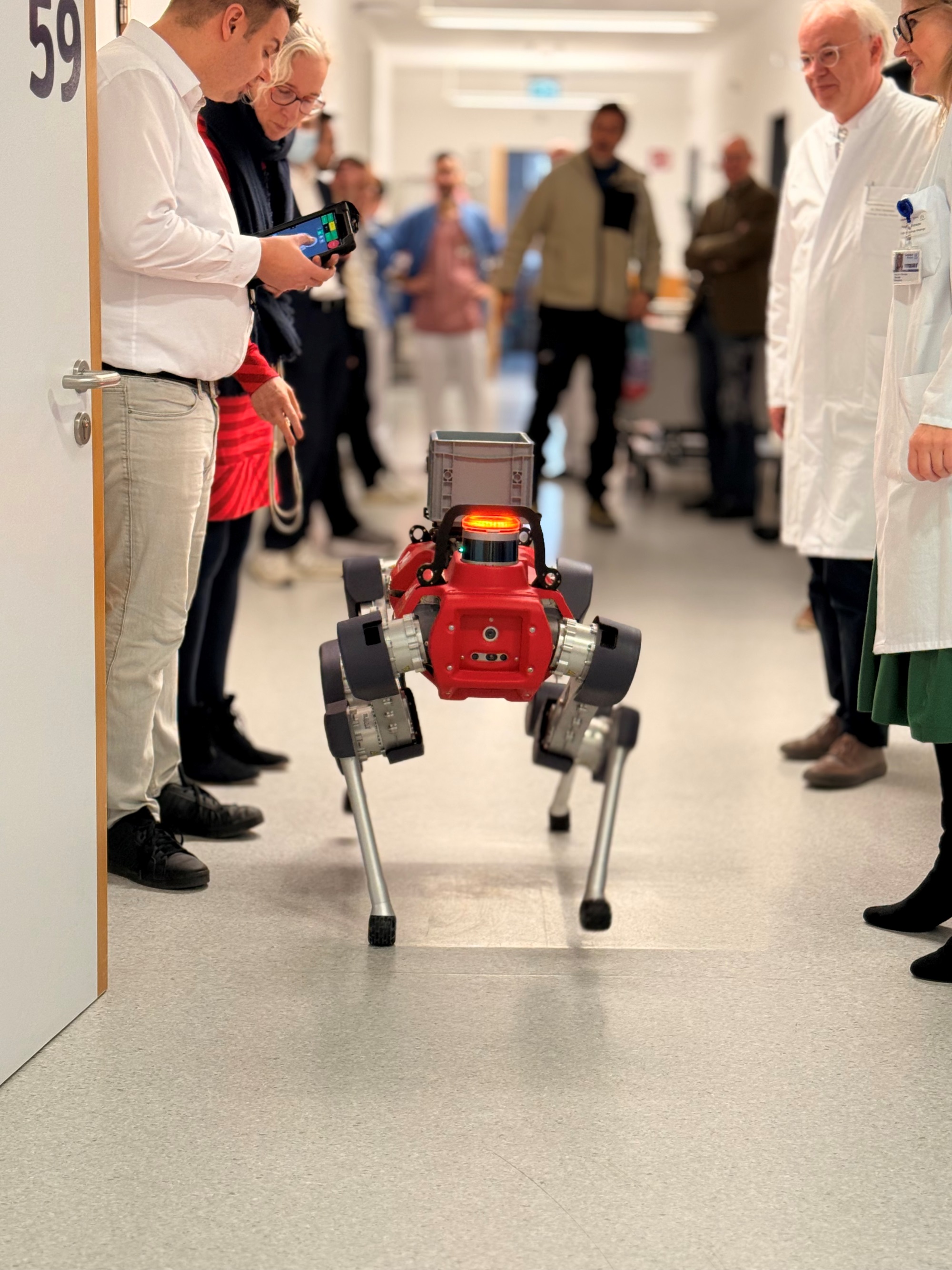 Robo-Dog HELIA läuft durch den Flur der Station durch ein Spalier von Zuschauenden, darunter Klinikpersonal, Patienten und die Forschenden. 