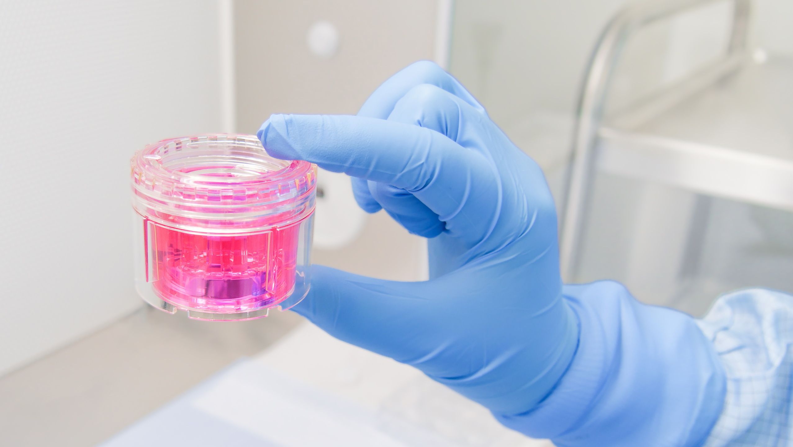 In 2025 ist die Anzahl an Gewebespenden im Netzwerk der Deutschen Gesellschaft für Gewebetransplantation erneut gestiegen. Foto: Augenhornhauttransplantat in einer Nährlösung in der Gewebebank Hannover. Foto: DGFG