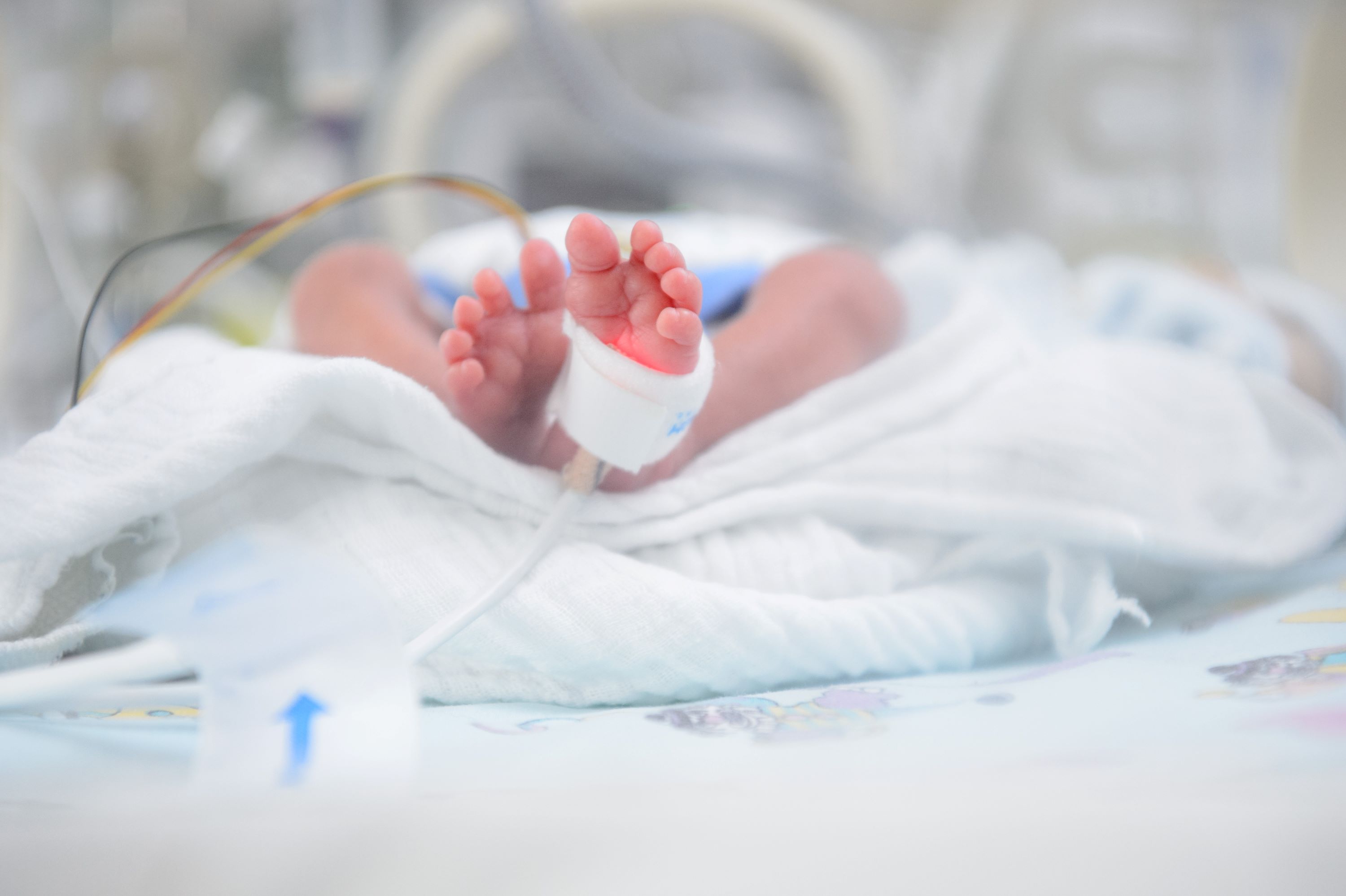 Blick in den Inkubator auf die kleinen nackten Füße eines Frühgeborenen 