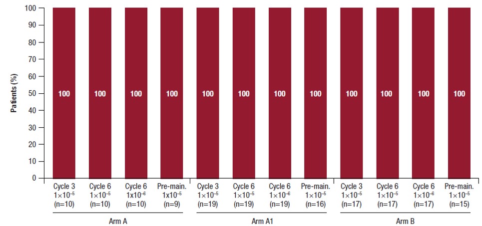Alle zwölf roten Balken in dem Diagramm zeigen 100 Prozent MRD-Negativität