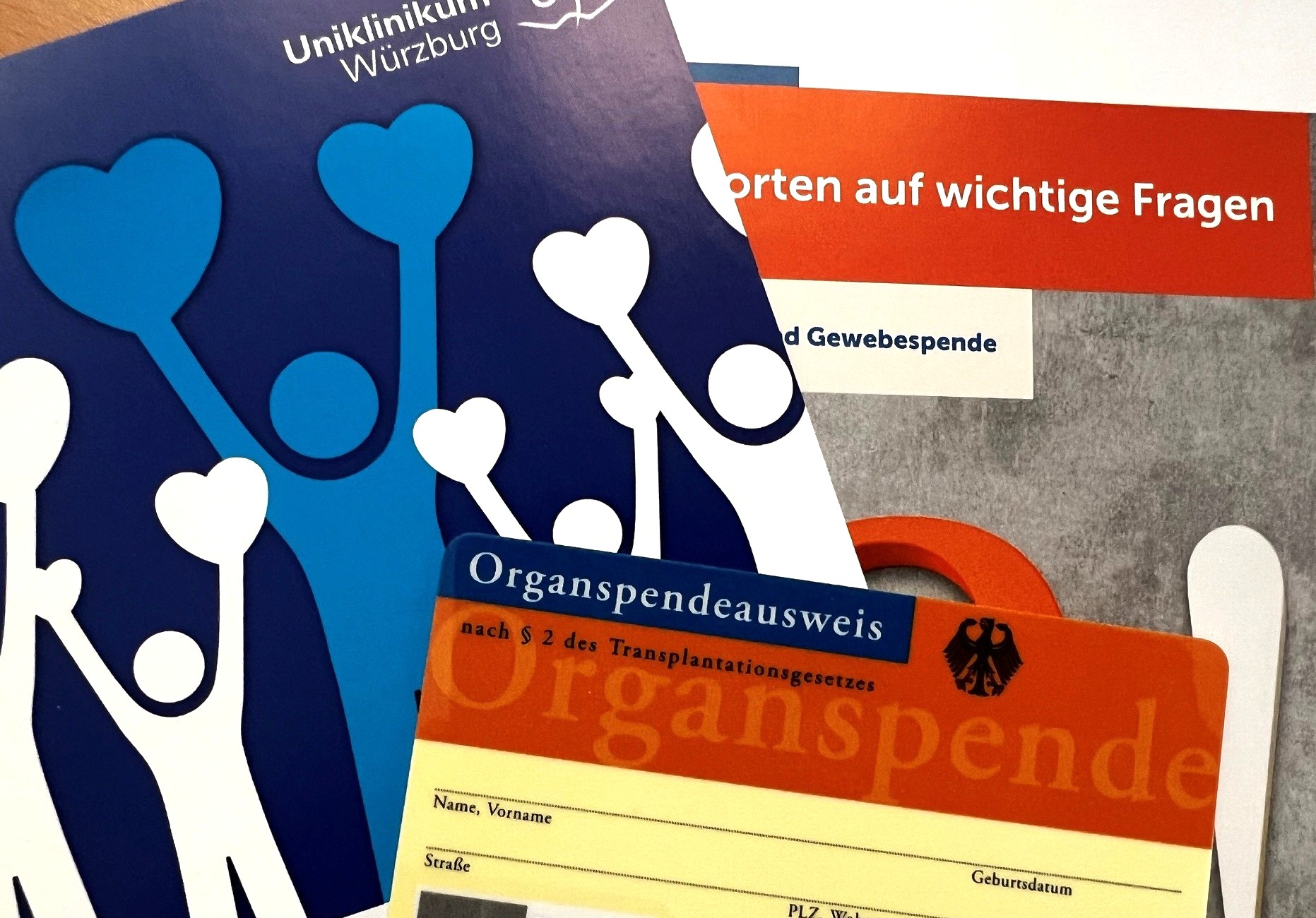 Im UKW ist aktuell eine Ausstellung zum Thema Organspende zu sehen.  Sie informiert über den Ablauf einer Organspende und die Funktion des Organspenderregisters. Foto: UKW / Stefan Dreising
