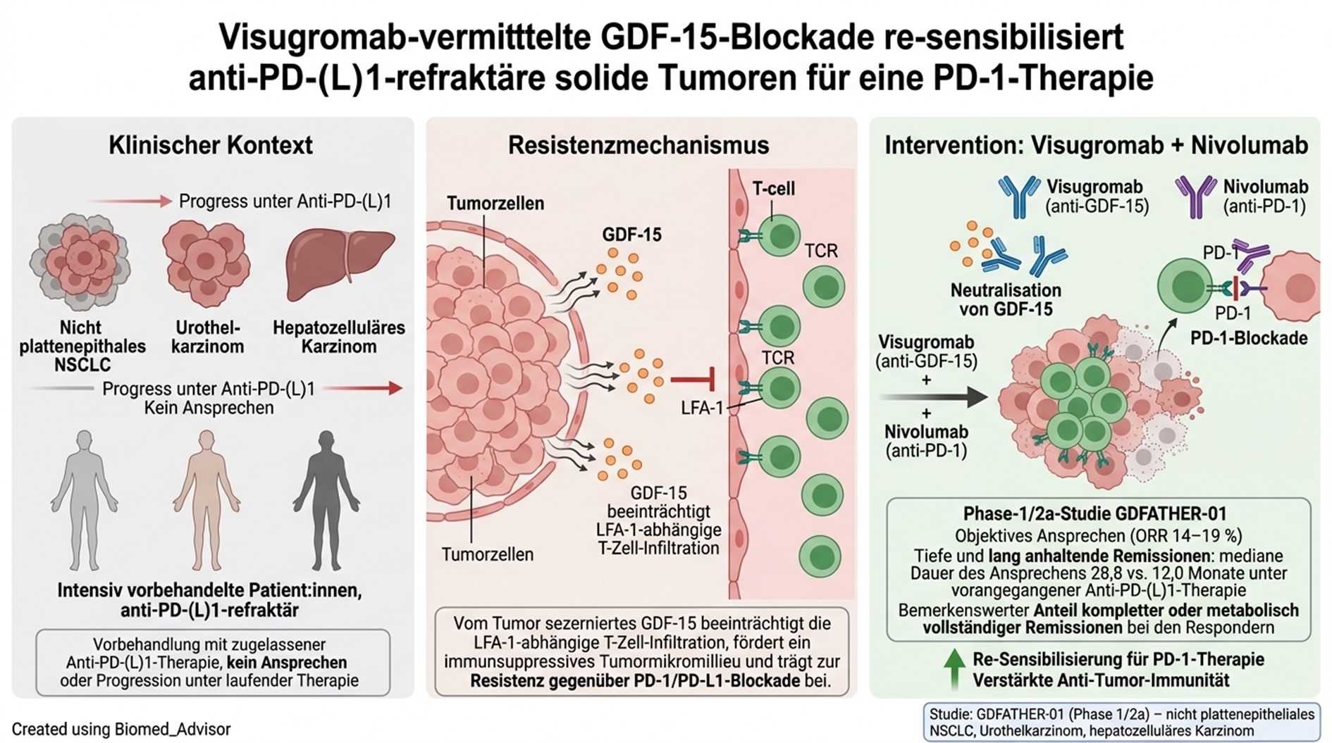 Grafische Abbildung über den Klinischen Kontext, den Resistenzmechanismus und die Intervention Visugromab plus Nivolumab.