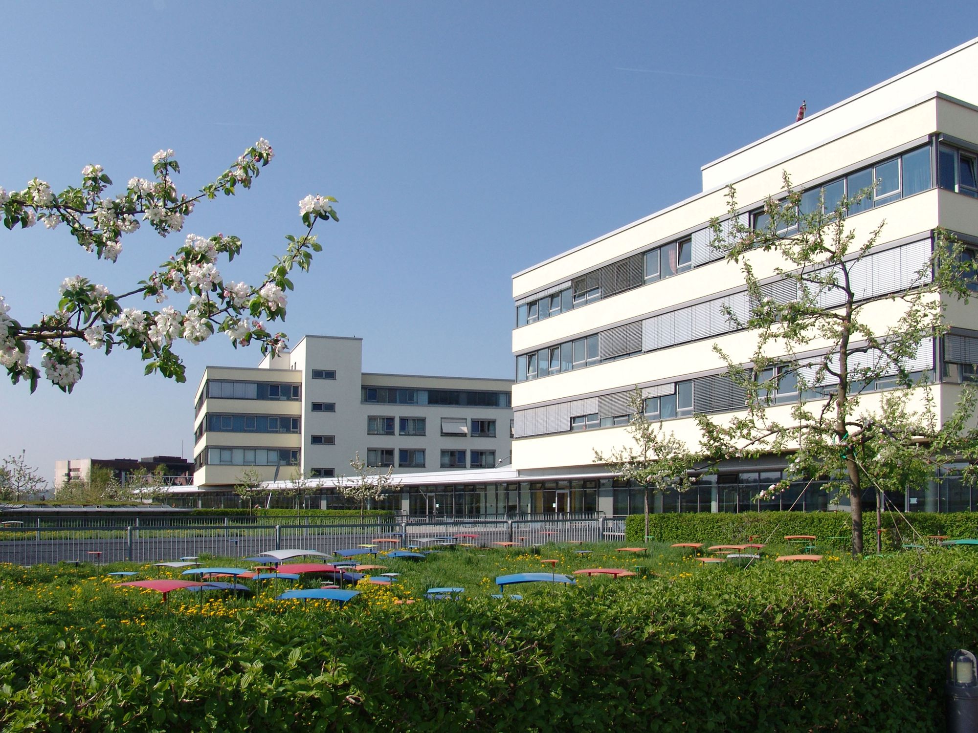 Gebäude ZIM und ZOM mit Grünfläche und Terrassen 