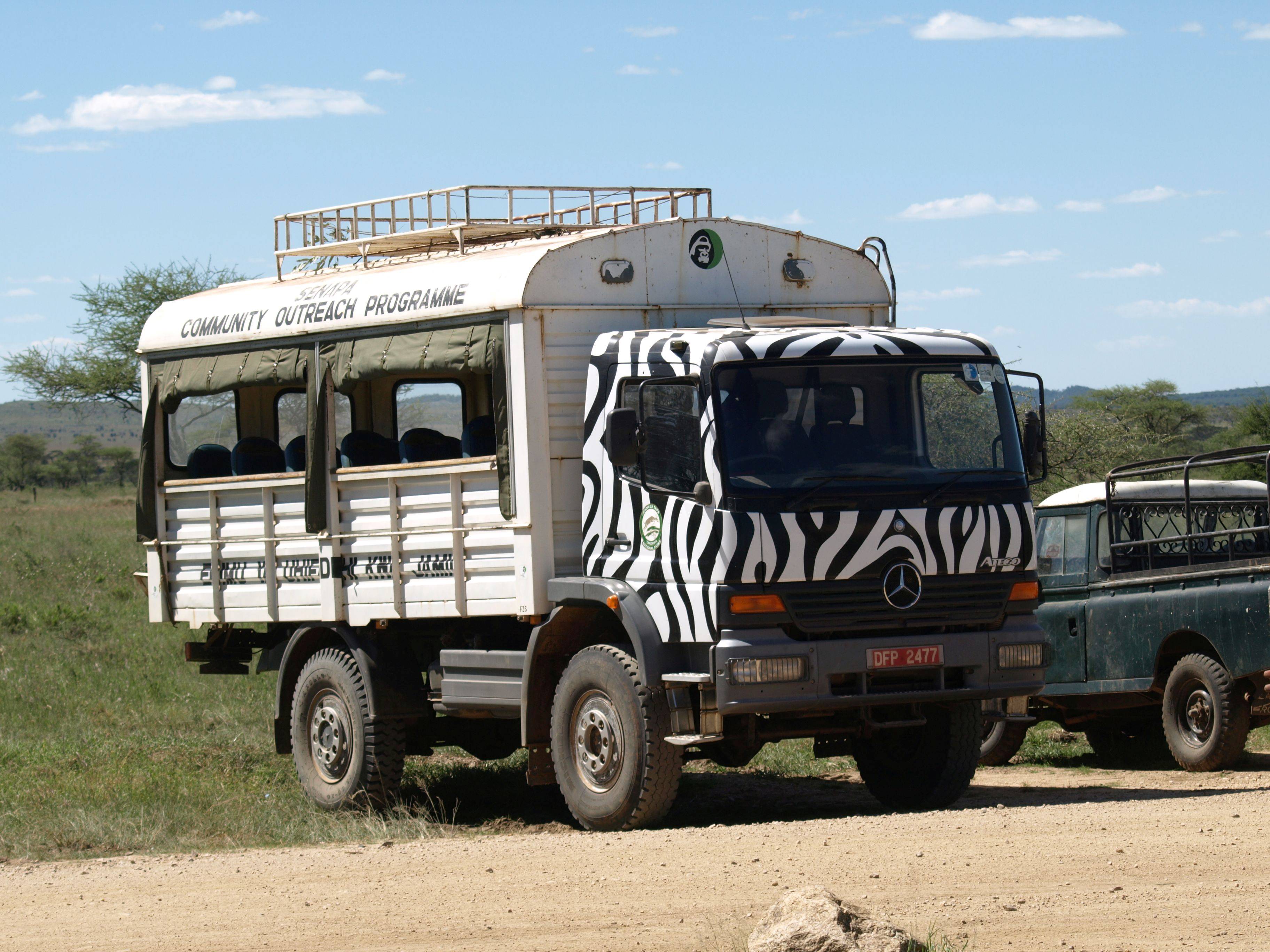 Bei dem Truck trägt das Führerhaus das Muster eines Zebras.