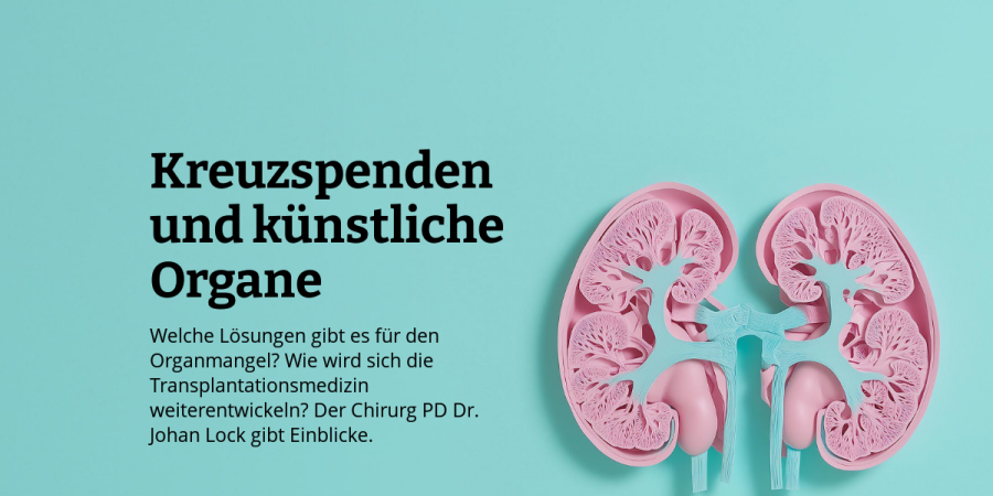pflanztopf ohne lcher Kugelfrmiger Pflanztopf aus Fiberstone  Beth Schwarz