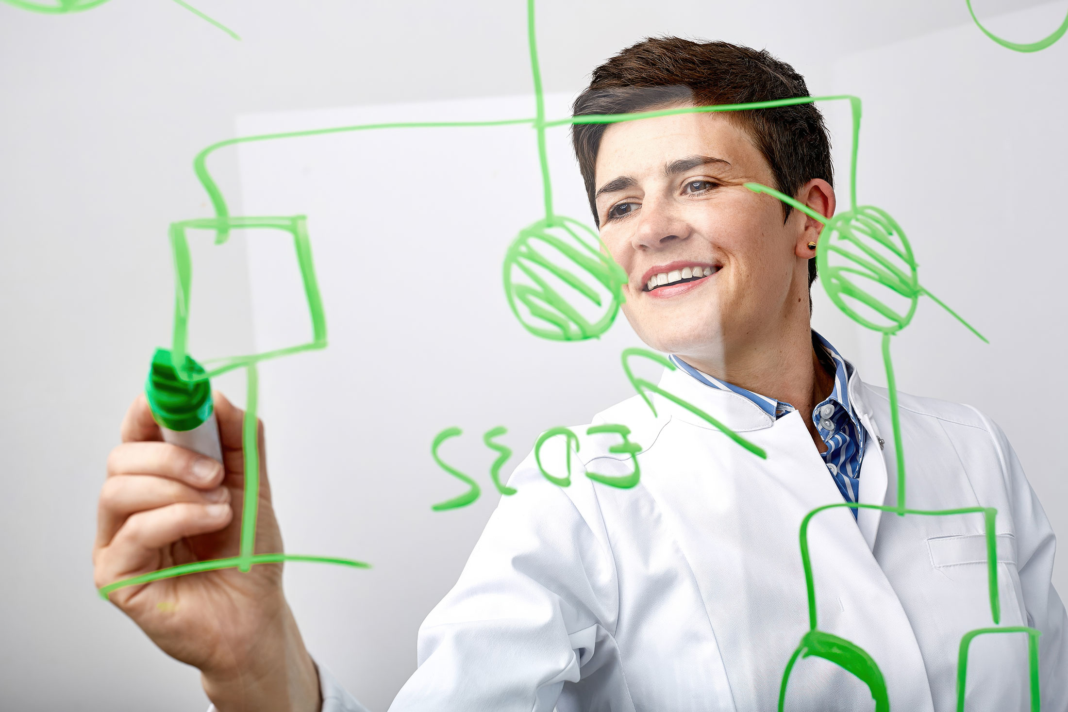 Prof. Anke Bergmann, Genetikerin, zeichnet ein genetisches Stammbaumschema auf eine Glasscheibe.