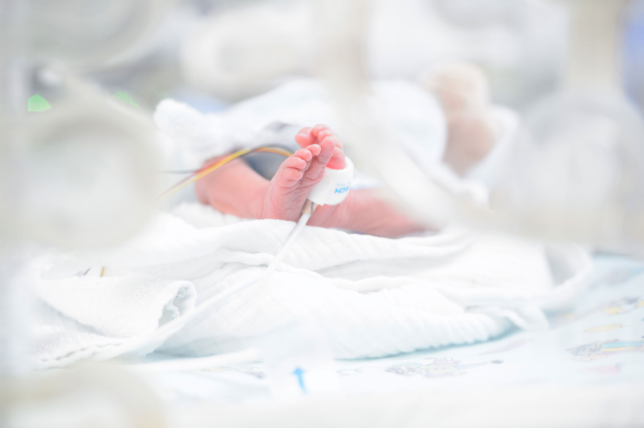 Blick in einen Inkubator: Zwei sehr kleine Babyfüße mit einem Gerät zur Sauerstoffmessung