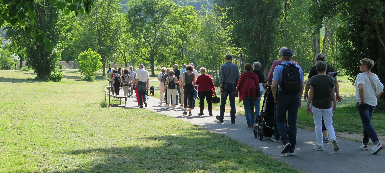 Eine Gruppe von Menschen spaziert durch einen Park. Die Menschen sind von hinten zu sehen.