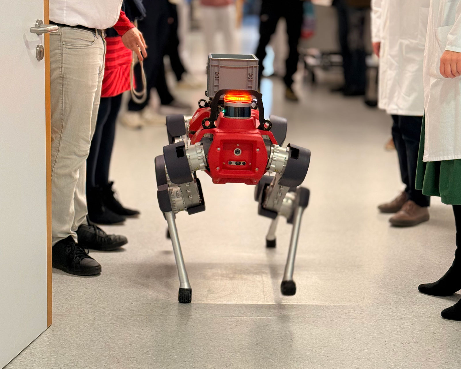 Der Roboterhund HELIA läuft über der Boden eines Krankenhausflurs. Links und rechts stehen Menschen, von denen nur Beine und Füße zu sehen sind.