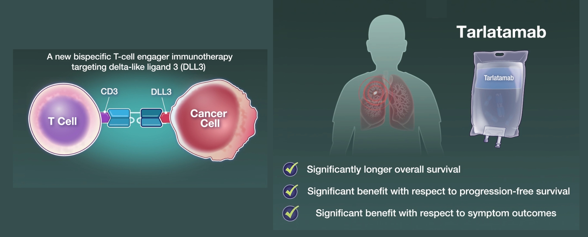 Screenshots vom Video auf dunkelgrünem Hintergrund: Tarlatamab versus Chemotherapie und auf anderem Bild die grafische Darstellung der Verabreichung von Tarlatamab bei Person mit Lungenkrebs.
