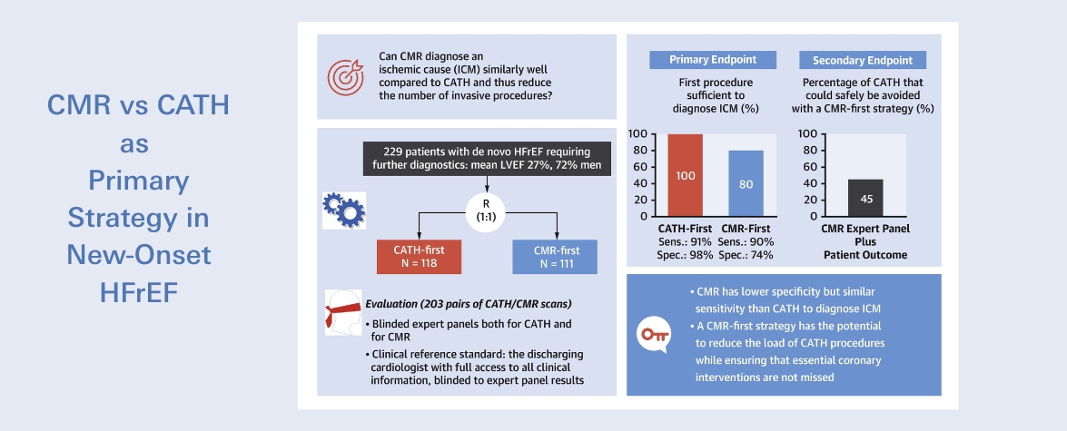 Herz-MRT vs. Herzkatheter Übersichtsgrafik aus dem Journal
