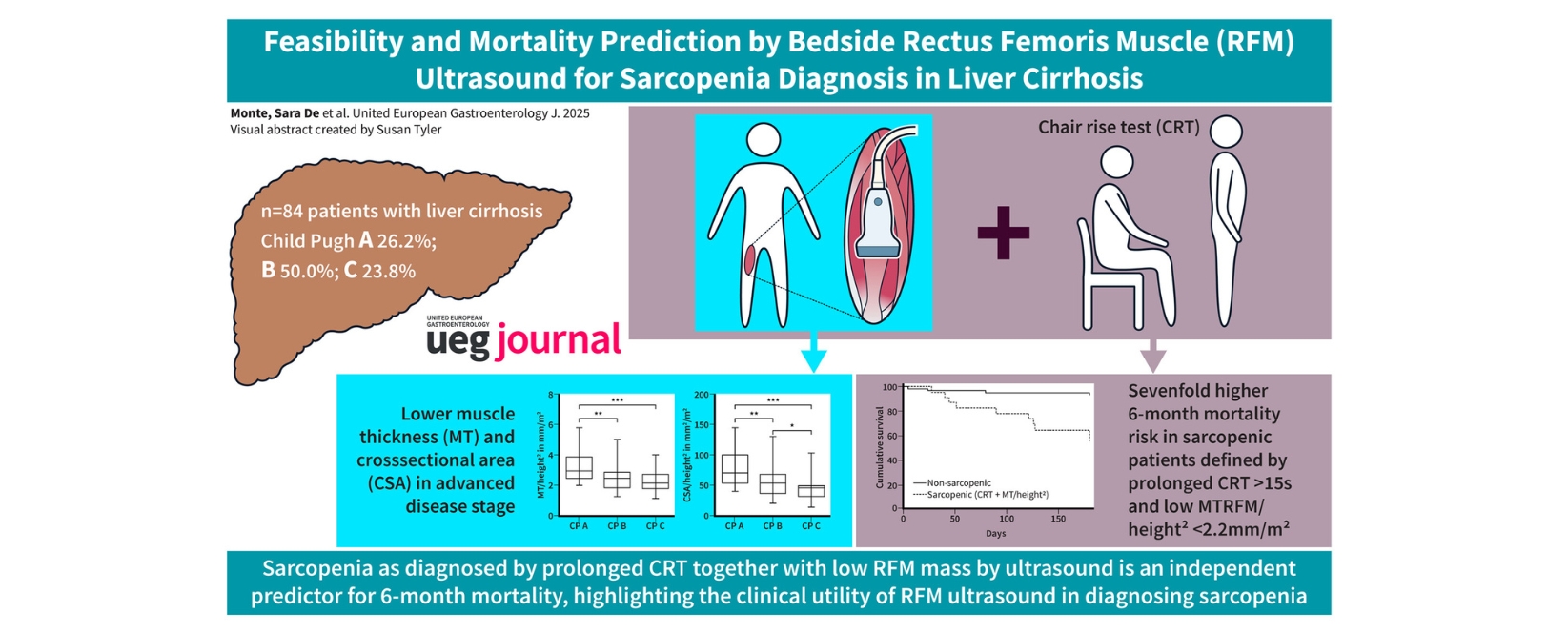 Grafik, die die Studie zusammenfasst mit grafischen Abbildungen der Leber, der Röntgenaufnahme des Oberschenkels und des Aufstehtests.