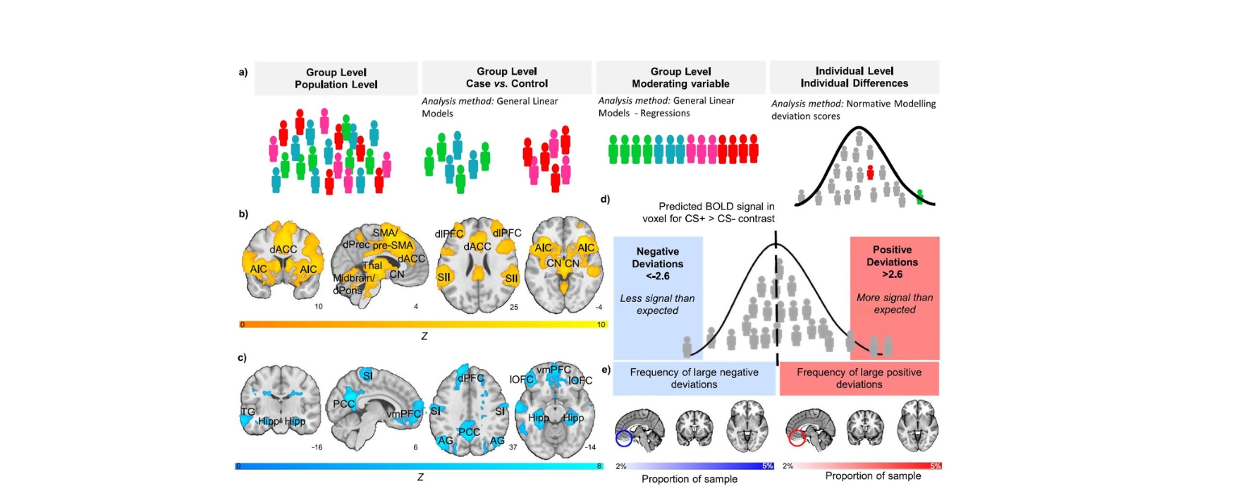 ZEP - Angstkonditionierung Die Nervenzellen und Unterschiede zwischen den Menschen bei der Angstkonditionierung. Hier ist eine schematische Darstellung der Analyseebenen (a). Das Gehirn von CS+ ist aktiver (b) und auch inaktivierter (c) als das von CS-. Das wurde mit einer Mega-Analyse (n = 1888 gesunde Kontrollpersonen) herausgefunden. Hier ist ein Bild, das zeigt, wie der normative Modellierungsrahmen (d) aussieht. Normative Wahrscheinlichkeitskarten zeigen den Prozentsatz der Teilnehmer in der gesunden Kontrollteststichprobe, die positive (warme Farben – rechts) oder negative Abweichungen (kühle Farben – links) >±2,6 innerhalb jedes Voxels aufwiesen. Der Kreis zeigt, dass es oft große Unterschiede in der ventralsten Region des vmPFC gibt (e).