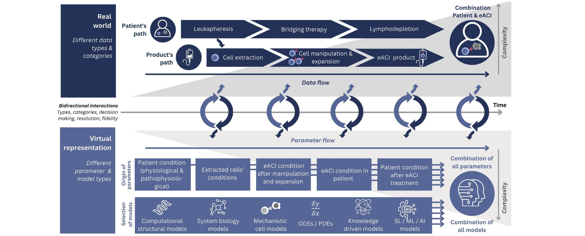 Zelluläre Immuntherapie - Virtueller Zwilling  Darstellung, welche Spezifikationen für virtuelle Zwillinge für Zelltherapien wichtig sind