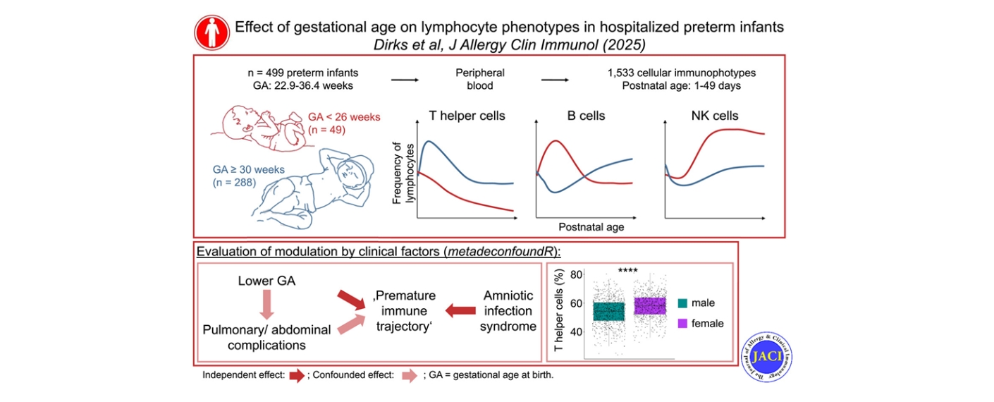 Grafische Zusammenfassung der Ergebnisse der Studie. 