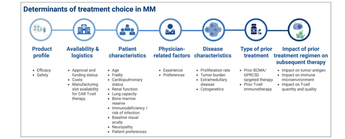 Abbildung zu den Entscheidungsfaktoren für die Wahl der Behandlung bei Multiplem Myelom