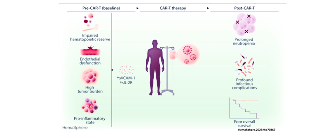 Grafischer Abstrakt aus der Publikation