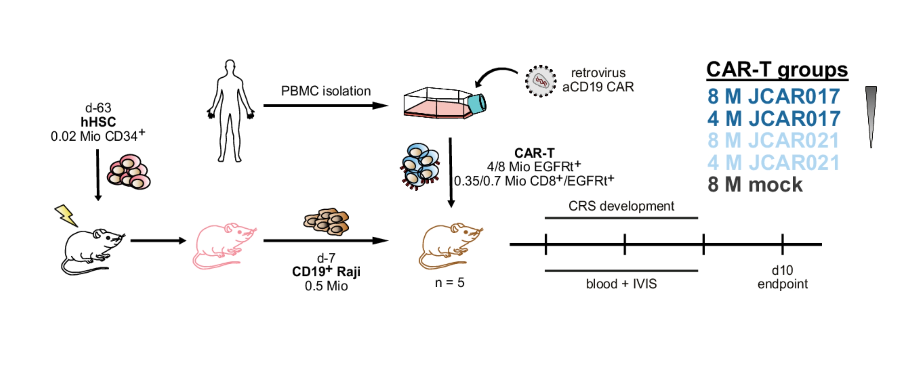 Figure 4 aus der Publikation: CAR-T-cell-associated toxicities are influenced by T-cell dose and receptor affinity.
